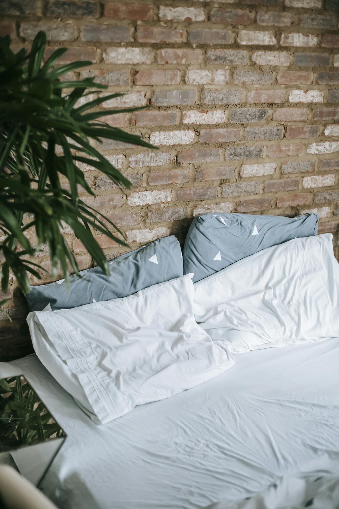 Interior of cozy bedroom with potted plants